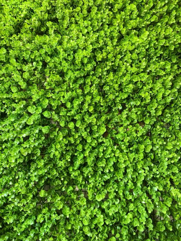 گرین وال سبز دیواری تصویر کامل