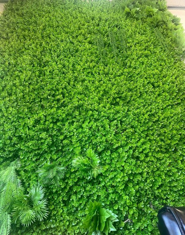 گرین وال سبز دیواری تصویر کامل اتبوه
