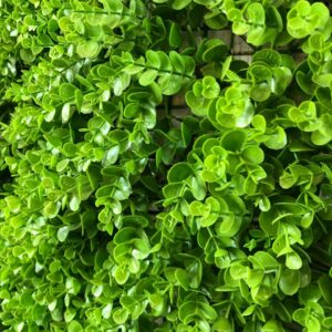 گرین وال سبز دیواری