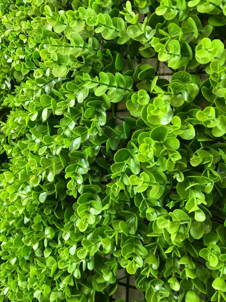 گرین وال سبز دیواری