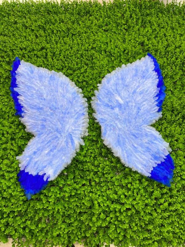 گرین وال باله پروانه آبی
