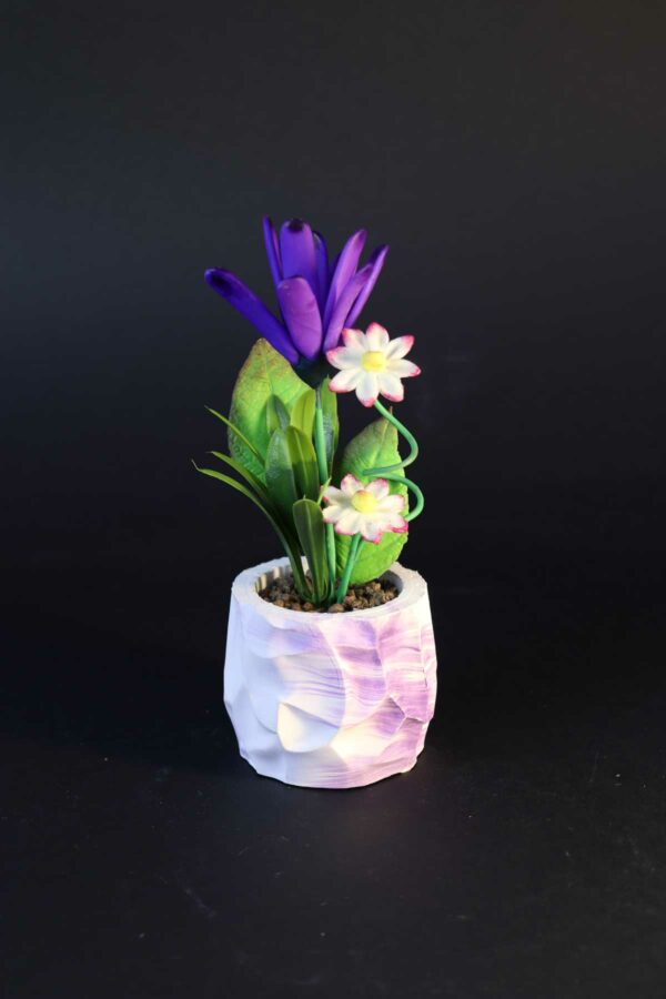 گل سوسن مدل صخره (1)