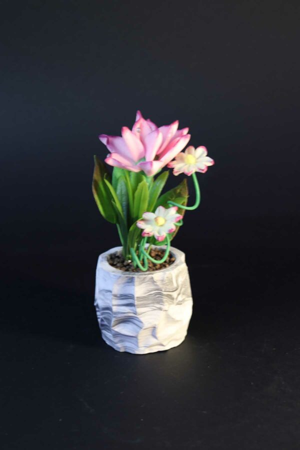 گل سوسن مدل صخره (3)