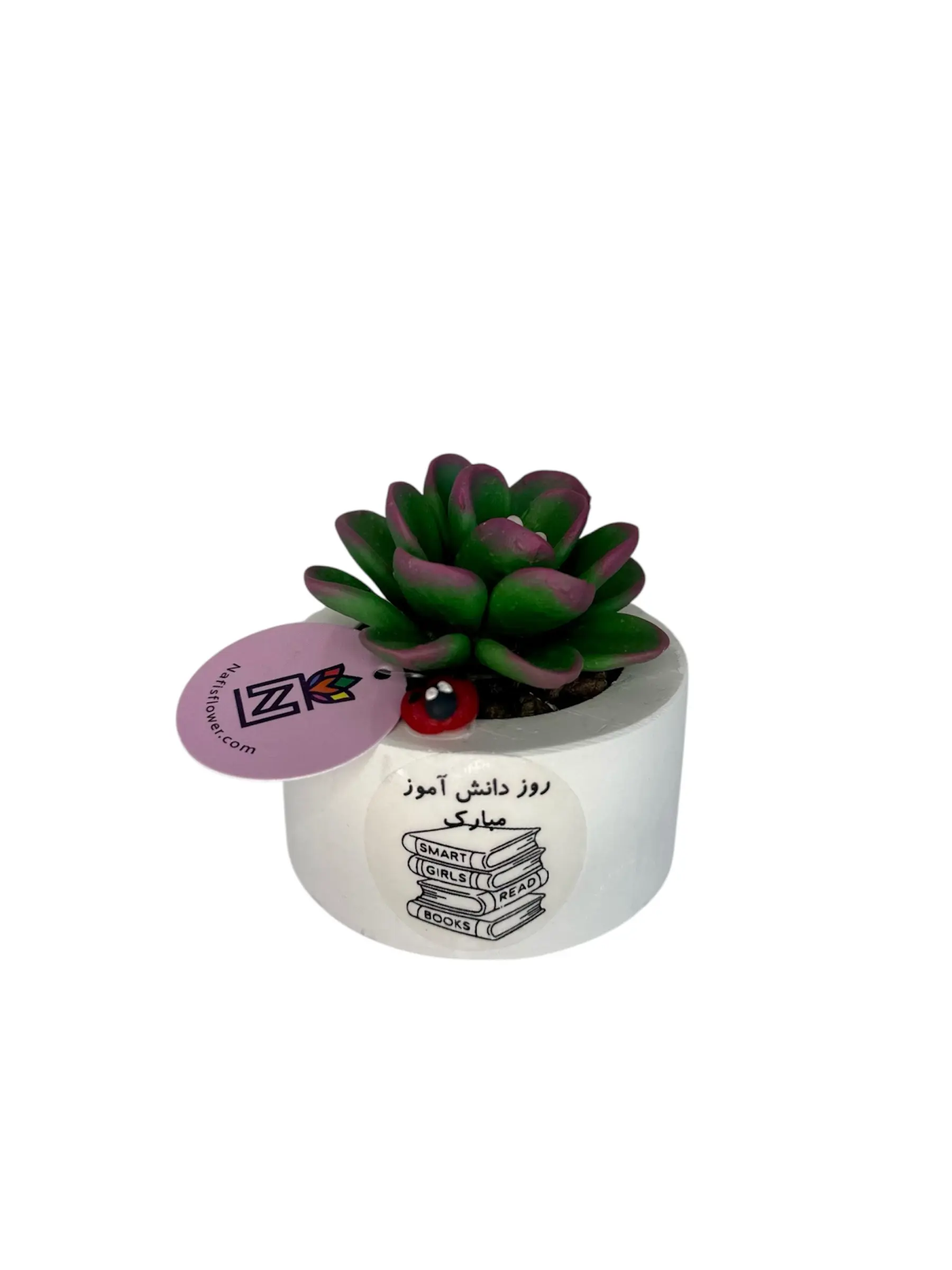 کاکتوس هدیه برای دانش آموزان پسر تصویر شاخص