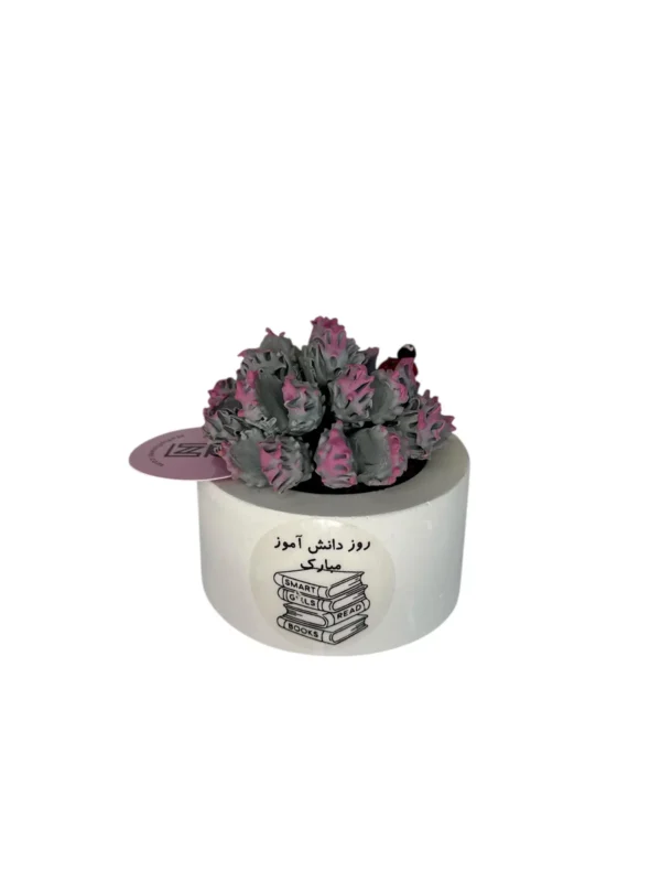 کاکتوس هدیه برای دانش آموزان پسر تصویر دهم