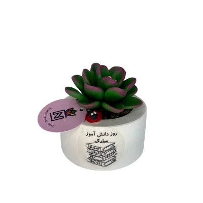 کاکتوس هدیه برای دانش آموزان پسر تصویر شاخص